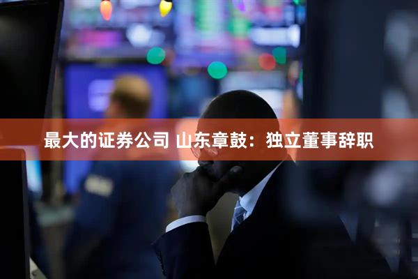 最大的证券公司 山东章鼓：独立董事辞职